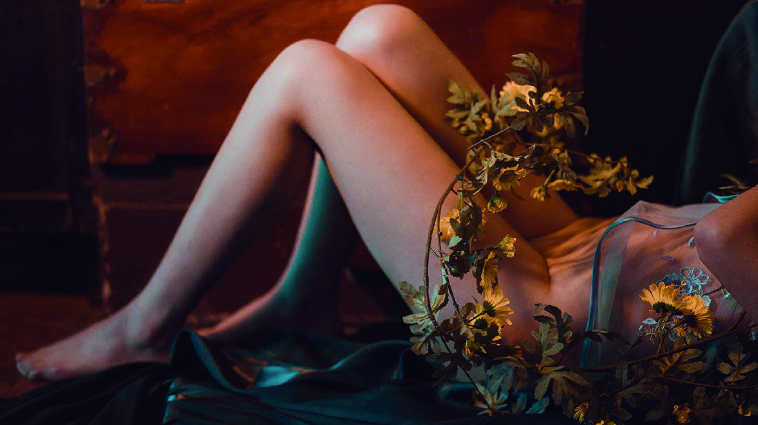 萌妹奈汐酱nice 小雏菊