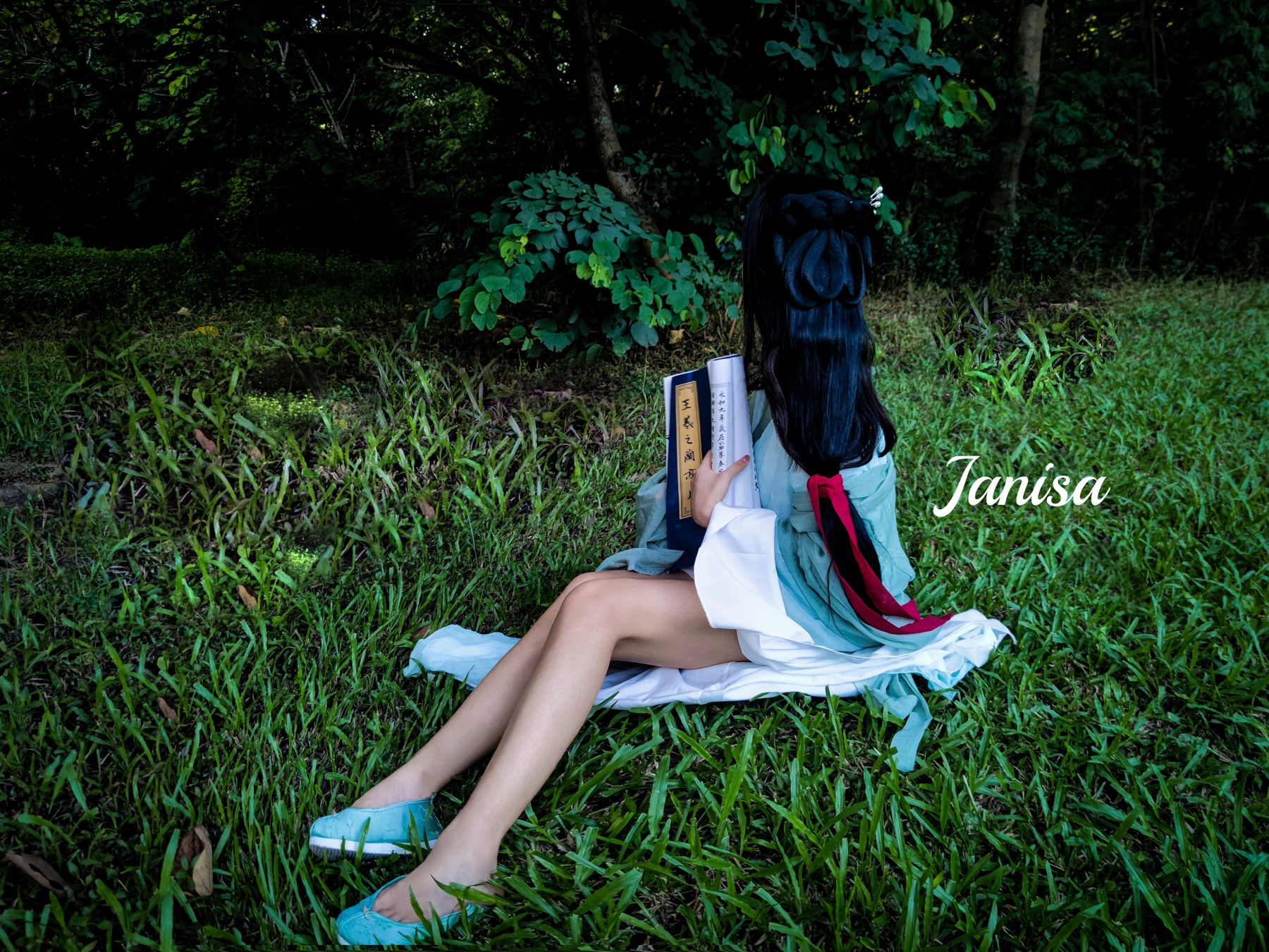 Janisa - 一曲广陵散 