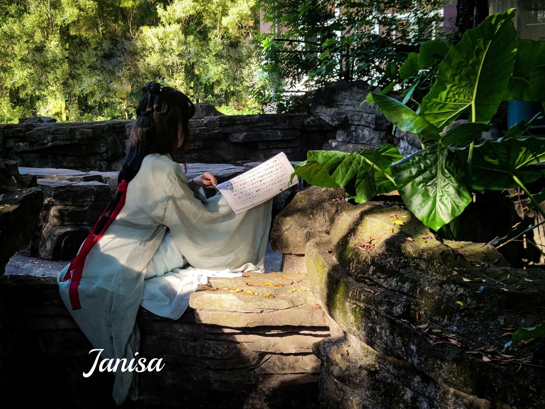 Janisa - 一曲广陵散 