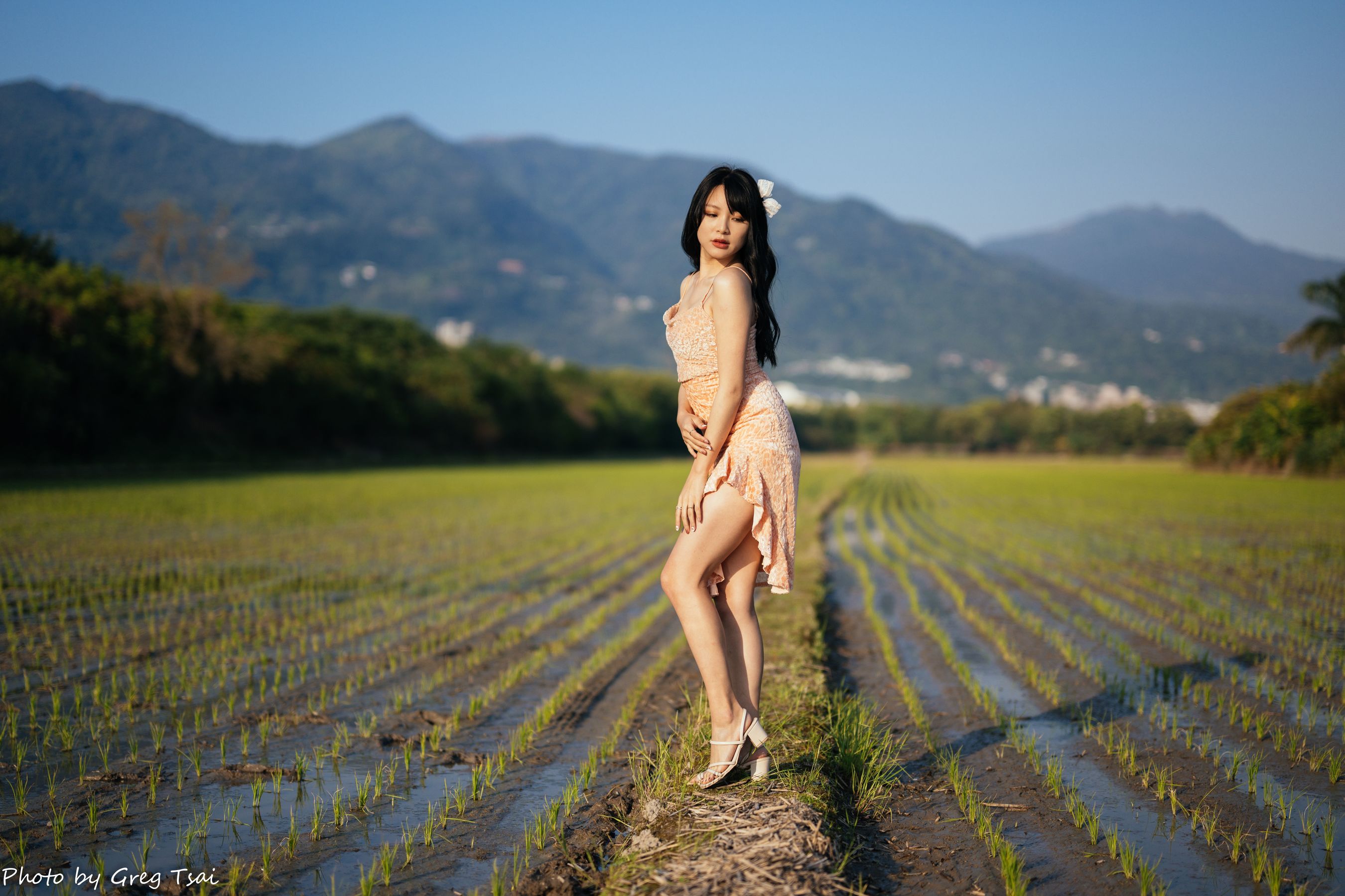 Ashley - 忠义