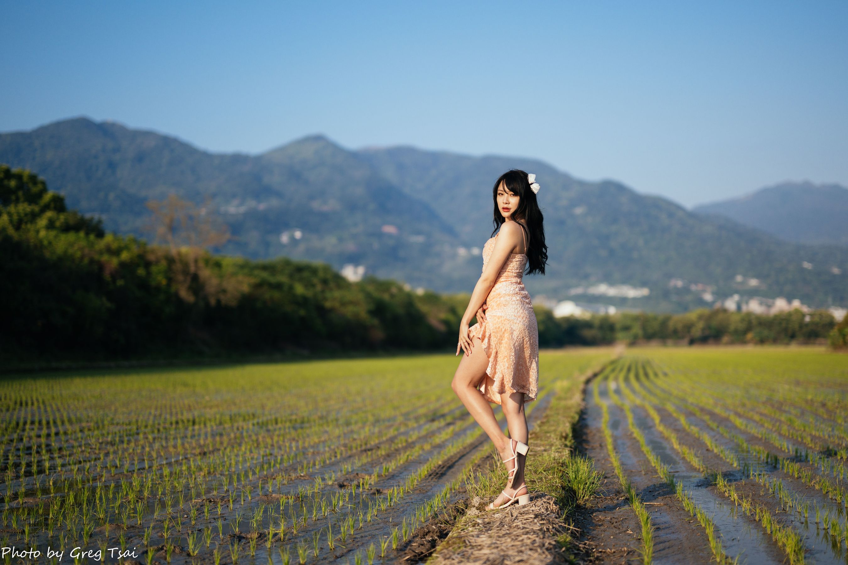 Ashley - 忠义
