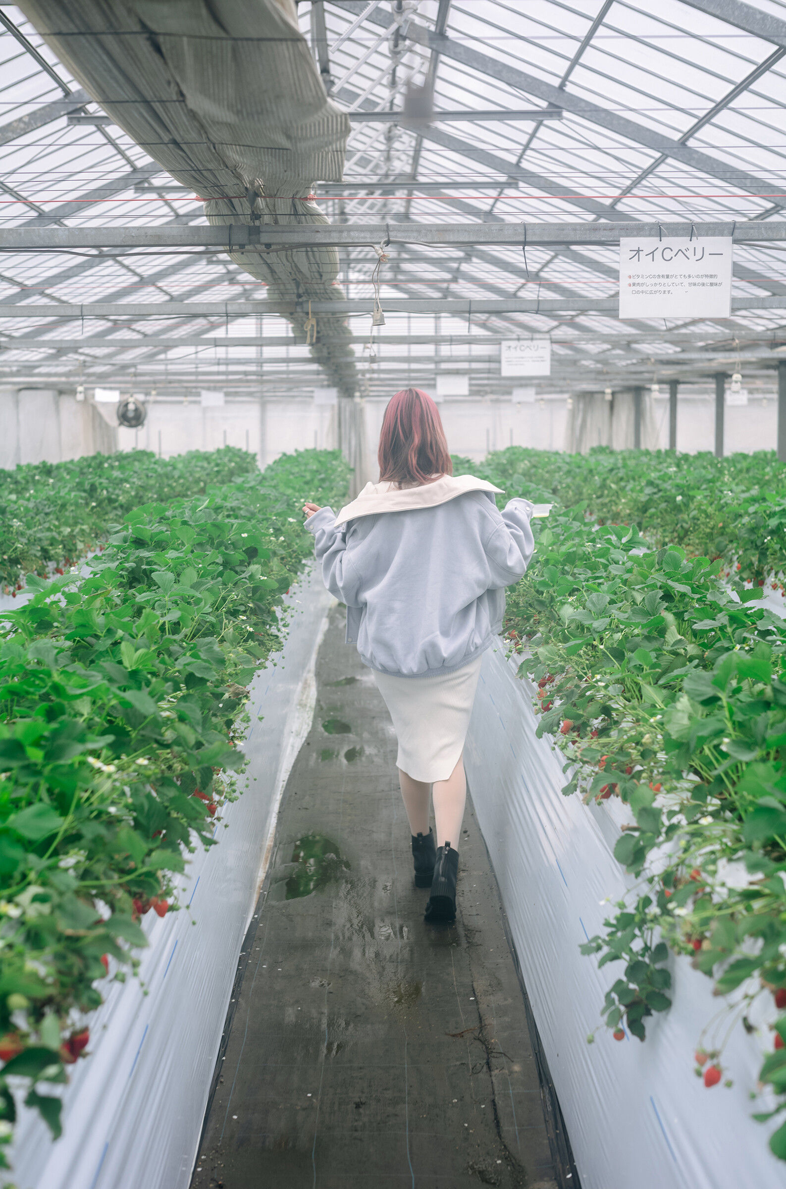 Ely_eee (ElyEE子) - Strawberry Picking Date