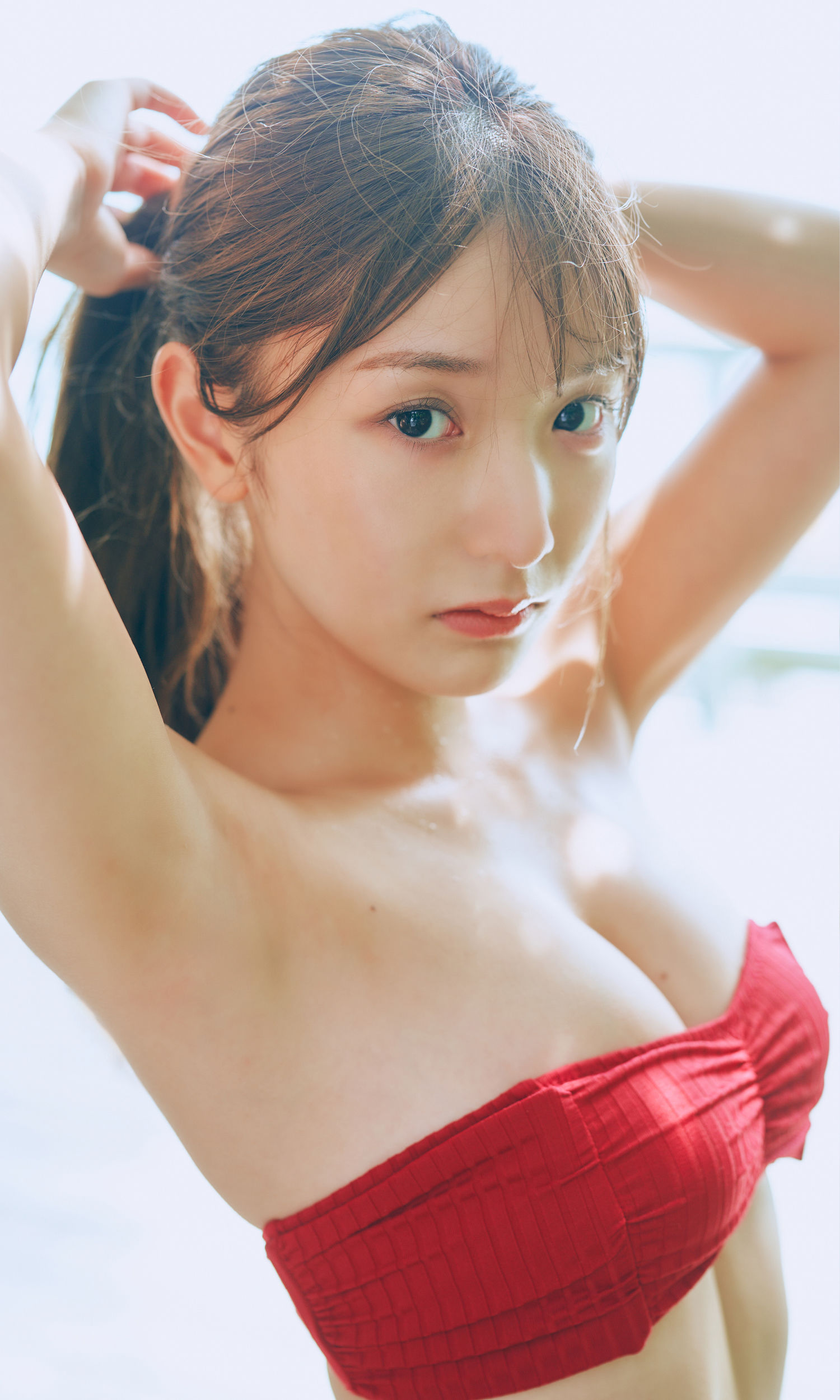 藤園麗 - FLY AGAIN