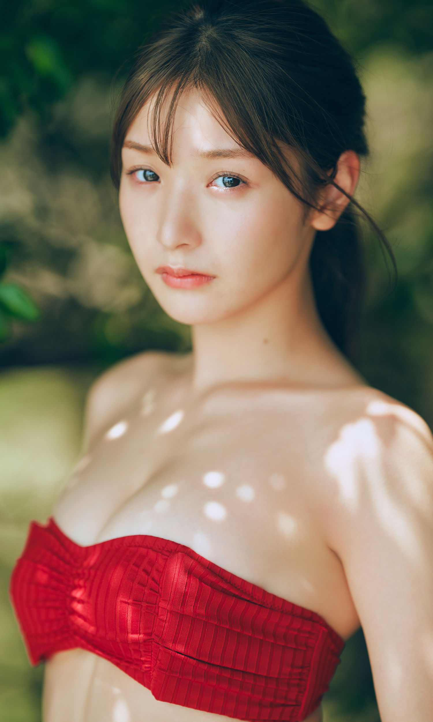 藤園麗 - FLY AGAIN