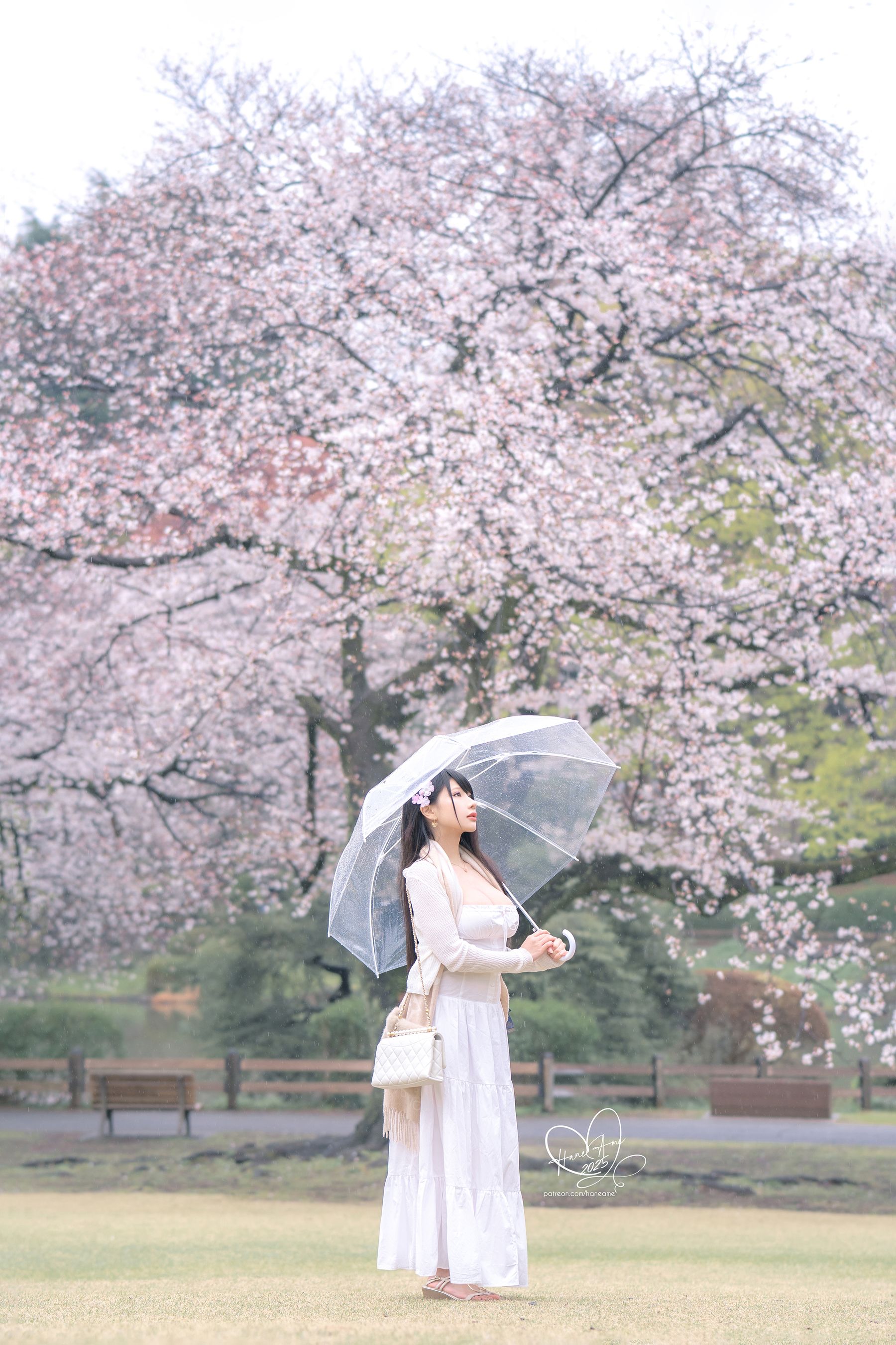Hane Ame 雨波写真 - 雨樱下的约定 - 图片07