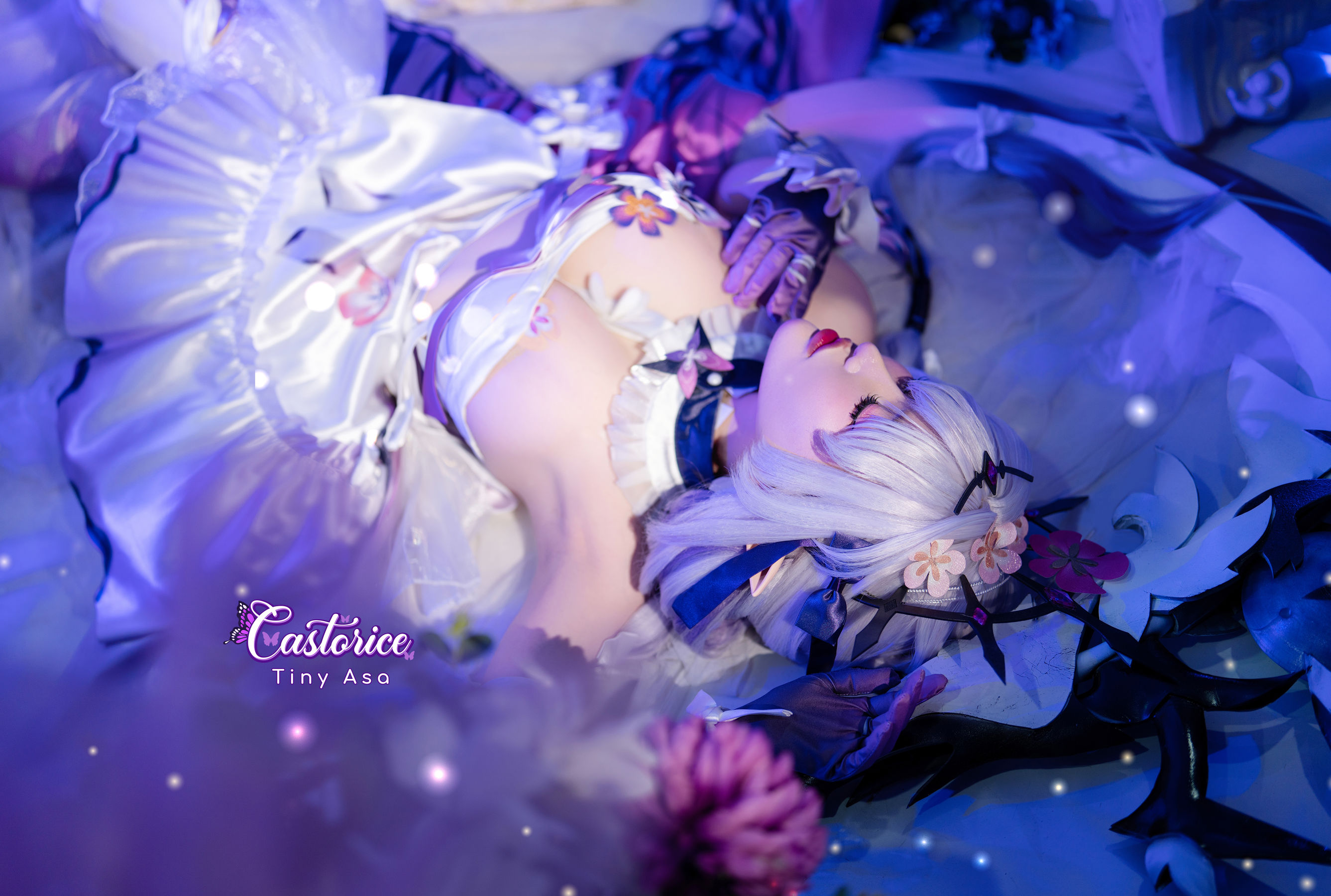 Tiny Asa - Castorice - 图片07
